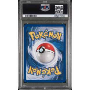 Flagadoss-Holo PSA 10